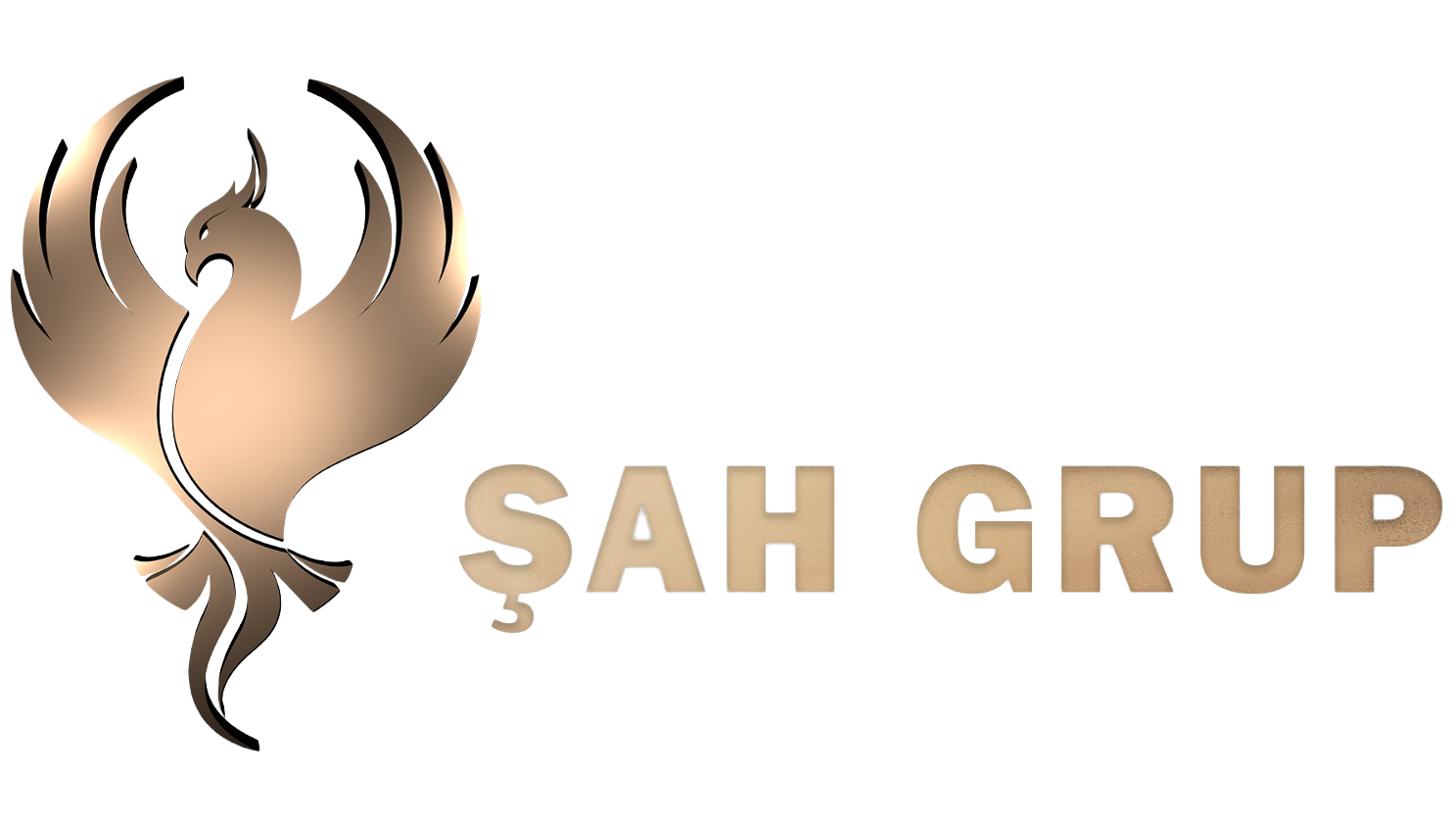 Şah Grup Logo